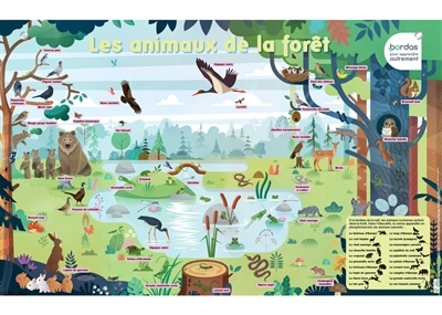 animaux de la forêt (Les) | Affiches