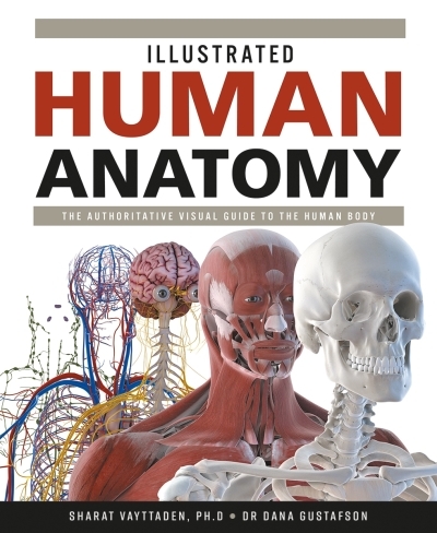 Illustrated Human Anatomy : The Authoritative Visual Guide to the Human Body | 