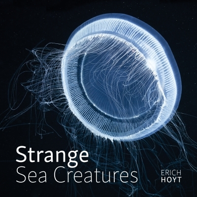 Strange Sea Creatures | 