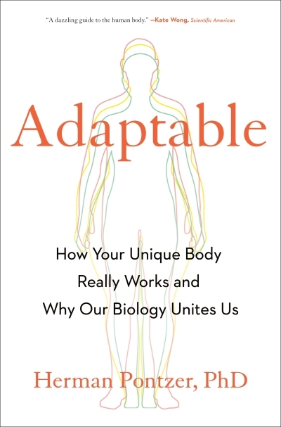 Adaptable : How Your Unique Body Really Works and Why Our Biology Unites Us | Pontzer, Herman (Auteur)