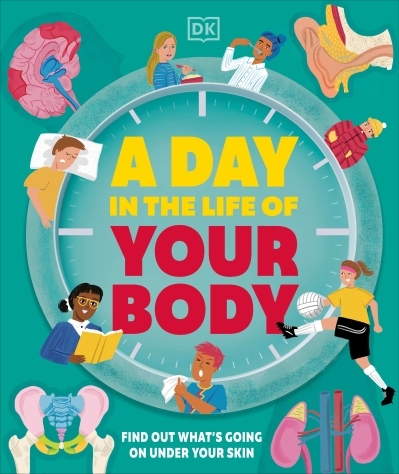 A Day in the Life of Your Body : Find Out What's Going on Under Your Skin | 