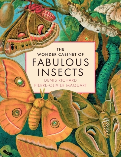 The Wonder Cabinet of Fabulous Insects : Secrets of the World’s Rarest and Strangest Insects | Richard, Denis (Auteur) | Maquart, Pierre-Olivier (Auteur)
