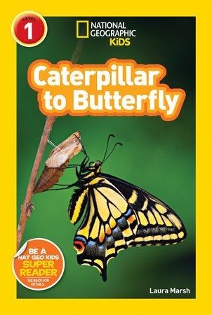 National Geographic Readers - Caterpillar to Butterfly | MARSH, LAURA