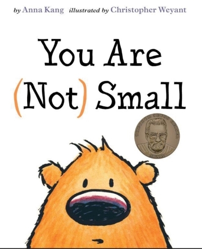 You Are Not Small | 