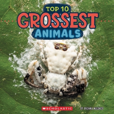 Grossest Animals (Wild World: Top 10) | Maloney, Brenna (Auteur)