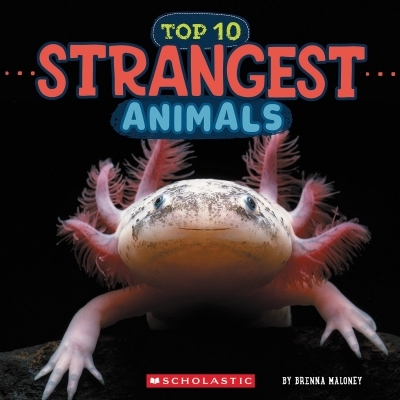 Strangest Animals (Wild World: Top 10) | Maloney, Brenna (Auteur)