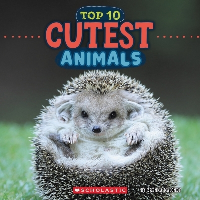 Cutest Animals (Wild World: Top 10) | Maloney, Brenna (Auteur)