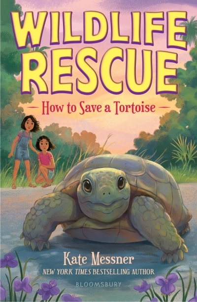 How to Save a Tortoise | Messner, Kate 