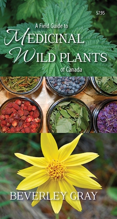 A Field Guide to Medicinal Wild Plants of Canada  | Gray, Beverley (Auteur)