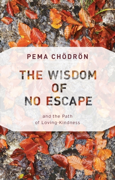 The Wisdom of No Escape : And the Path of Loving-Kindness | Chodron, Pema (Auteur)