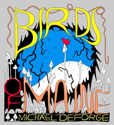Birds of Maine | DeForge, Michael (Auteur)