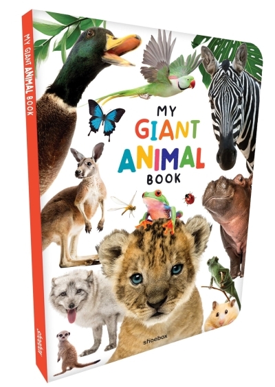 My Giant Animal Book | Huynh, Kim (Auteur)