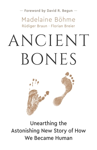 Ancient Bones : Unearthing the Astonishing New Story of How We Became Human | Böhme, Madelaine (Auteur) | Braun, Rüdiger (Auteur) | Breier, Florian (Auteur)