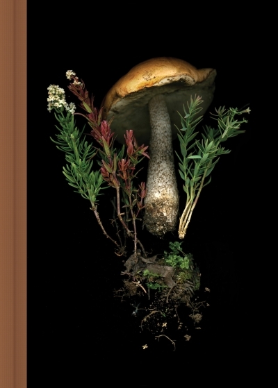 Deep Dark Forest Mushroom Journal | Papeterie fine