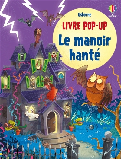 manoir hanté (Le) | Taplin, Sam (Auteur) | Fiorin, Fabiano (Illustrateur)