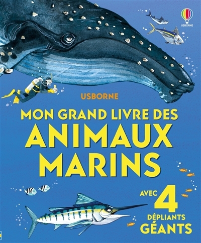 Mon grand livre des animaux marins | Lacey, Minna (Auteur) | Fiorin, Fabiano (Illustrateur)