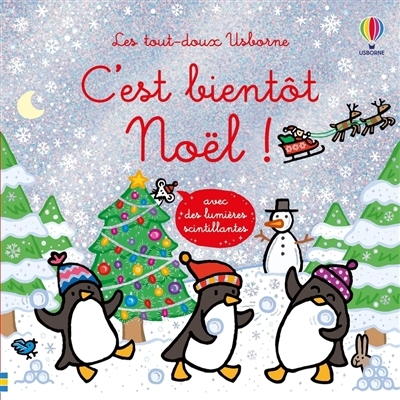 C'est bientôt Noël ! | Watt, Fiona (Auteur) | Wells, Rachel (Illustrateur)