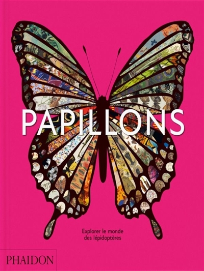 Papillons : explorer le monde des lépidoptères | 