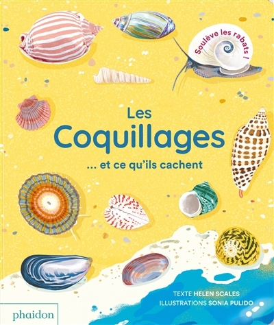 Coquillages... et ce qu'ils cachent (Les) | Scales, Helen (Auteur) | Pulido, Sonia (Illustrateur)