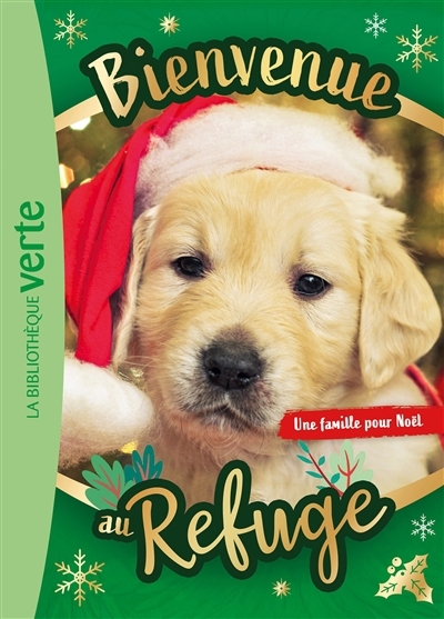 Une famille pour Noël | Ruter, Pascal (Auteur)