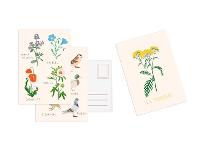 Cartes postales : une collection de 10 cartes postales autour des fleurs | Papeterie fine