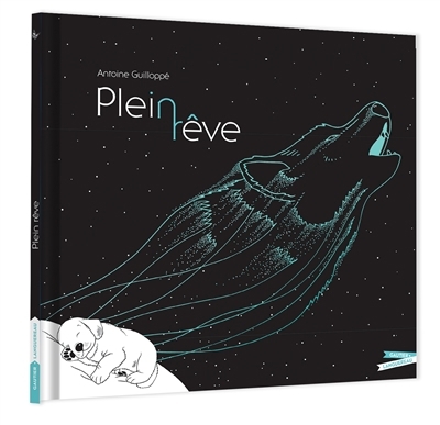 Plein rêve | Guilloppé, Antoine