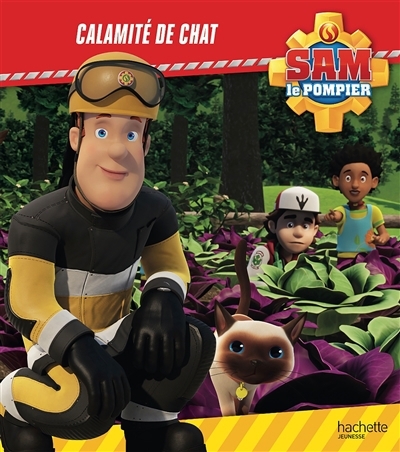 Calamité de chat | Lacasse, Joséphine (Auteur)