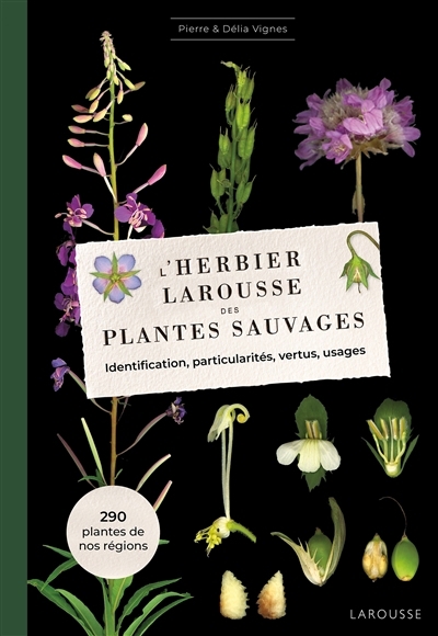 L'herbier Larousse des plantes sauvages : identification, particularités, vertus, usages : 290 plantes de nos régions | Vignes, Pierre (Auteur)