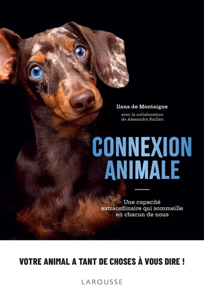 Connexion animale : une capacité extraordinaire qui sommeille en chacun de nous | Montaigne, Ilana de (Auteur)