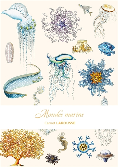 Carnet Larousse : Mondes sous-marins | Papeterie fine