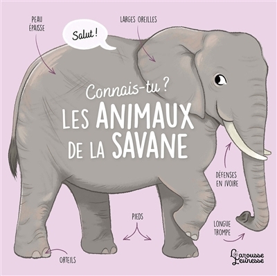 Connais-tu les animaux de la savane ? | Besson, Agnès (Auteur) | Vanhoof, Axelle (Illustrateur)