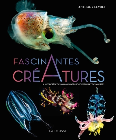 Fascinantes créatures : la vie secrète des animaux des profondeurs et des abysses | Leydet, Anthony (Auteur)