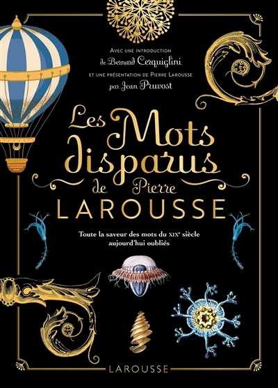 mots disparus de Pierre Larousse : toute la saveur des mots du XIXe siècle aujourd'hui oubliés (Les) | Larousse, Pierre (Auteur)