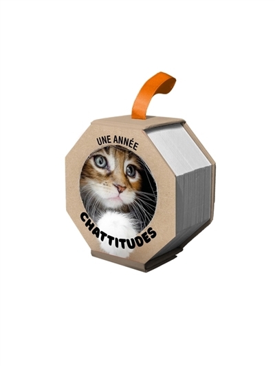 Ephéméride : Une année chattitudes | 