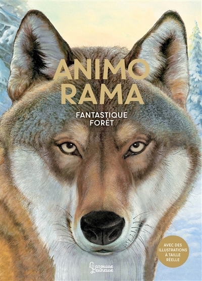 Animorama : Fantastique forêt | Haag, Holger (Auteur) | Rohrbeck, Manfred (Illustrateur)