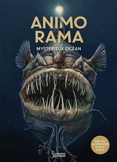 Animo Rama : Mystérieux océan | Baus, Lars | Haag, Holger