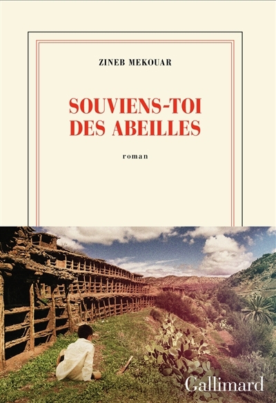 NUM - Souviens-toi des abeilles (EPUB) | Mekouar, Zineb