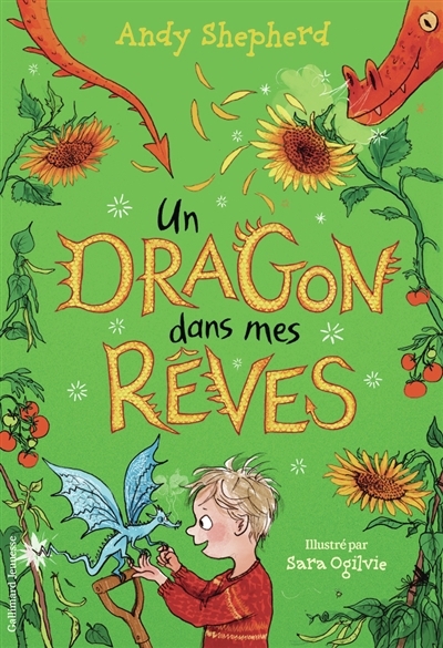 Un dragon dans... T.04 - Un dragon dans mes rêves | Shepherd, Andy (Auteur) | Ogilvie, Sara (Illustrateur)