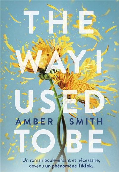 The way I used to be | Smith, Amber (Auteur)