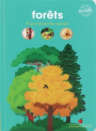 Forêts | Payen, Pauline (Auteur) | Bessard, Sylvie (Illustrateur)