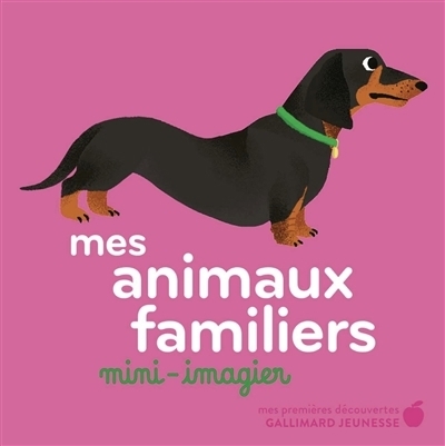 Mes animaux familiers : mini-imagier | Falière, Amélie (Illustrateur)