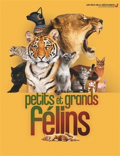 Petits et grands félins | Clutton-Brock, Juliet