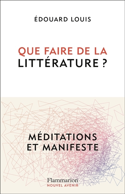 Que faire de la littérature ? : méditations et manifeste | 