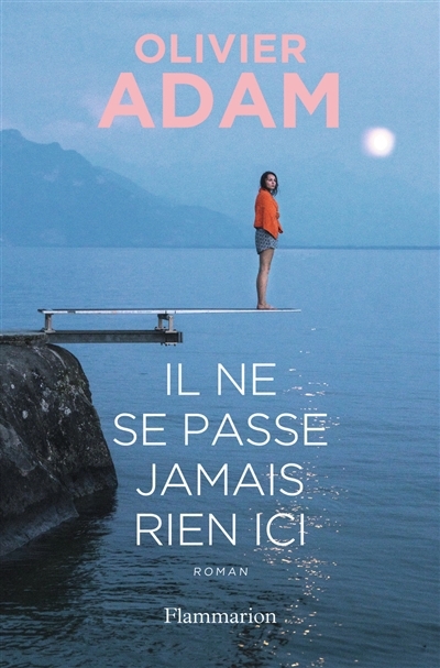 Il ne se passe jamais rien ici | Adam, Olivier 