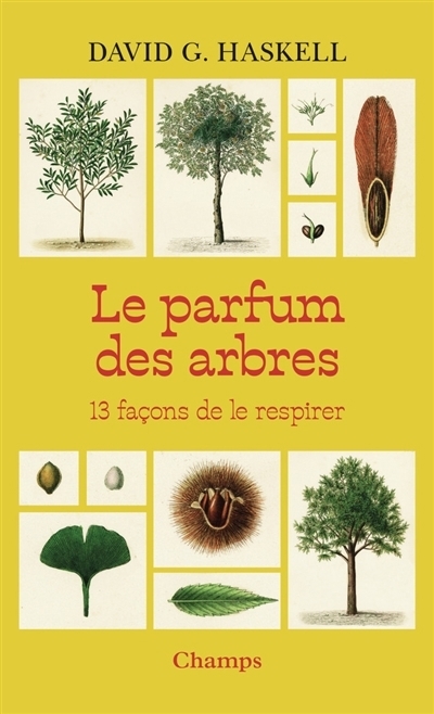 Le parfum des arbres : 13 façons de le respirer | Haskell, David George (Auteur) | Plessy, Valentine (Illustrateur)