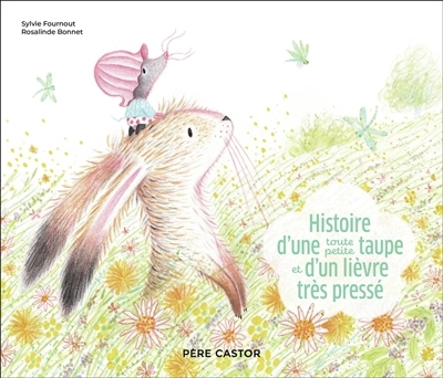 Histoire d'une toute petite taupe et d'un lièvre très pressé | Fournout, Sylvie (Auteur) | Bonnet, Rosalinde (Illustrateur)