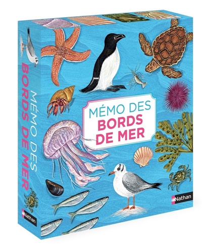 Mémo des bords de mer | Enfants 5–9 ans 