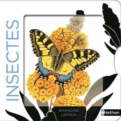 Insectes | Laprun, Amandine