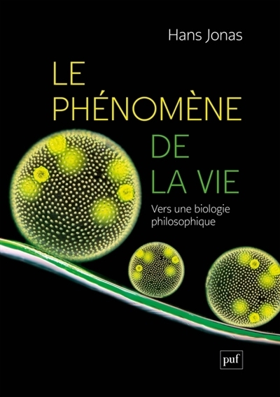 Le phénomène de la vie : vers une biologie philosophique | Jonas, Hans (Auteur)