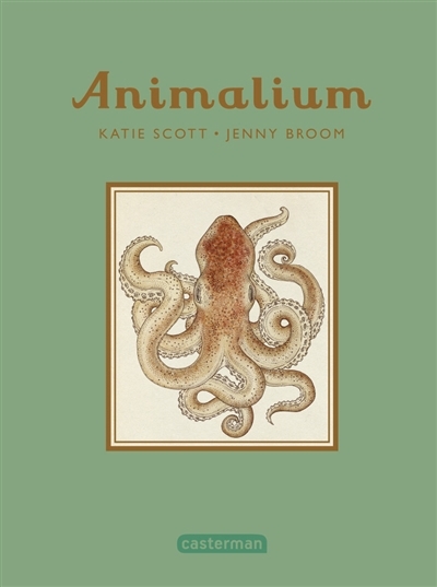 Animalium | Broom, Jenny